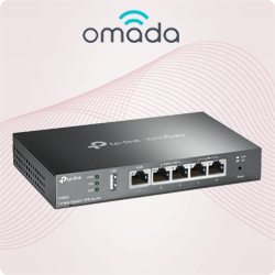 Omada VPN Routers